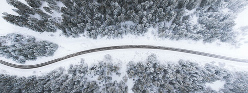 Blick auf eine Straße, die durch einen winterlichen Wald führt.