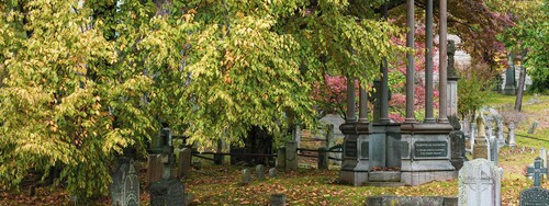 Blick über einen alten Friedhof.