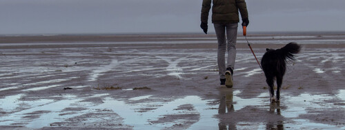 Hund und Herrchen gehen am Meer spazieren.